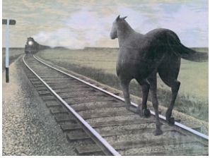 At ve Tren/ Horse and Train