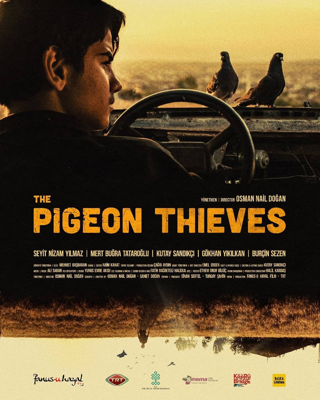 Güvercin Hırsızları-The Pigeon Thieves