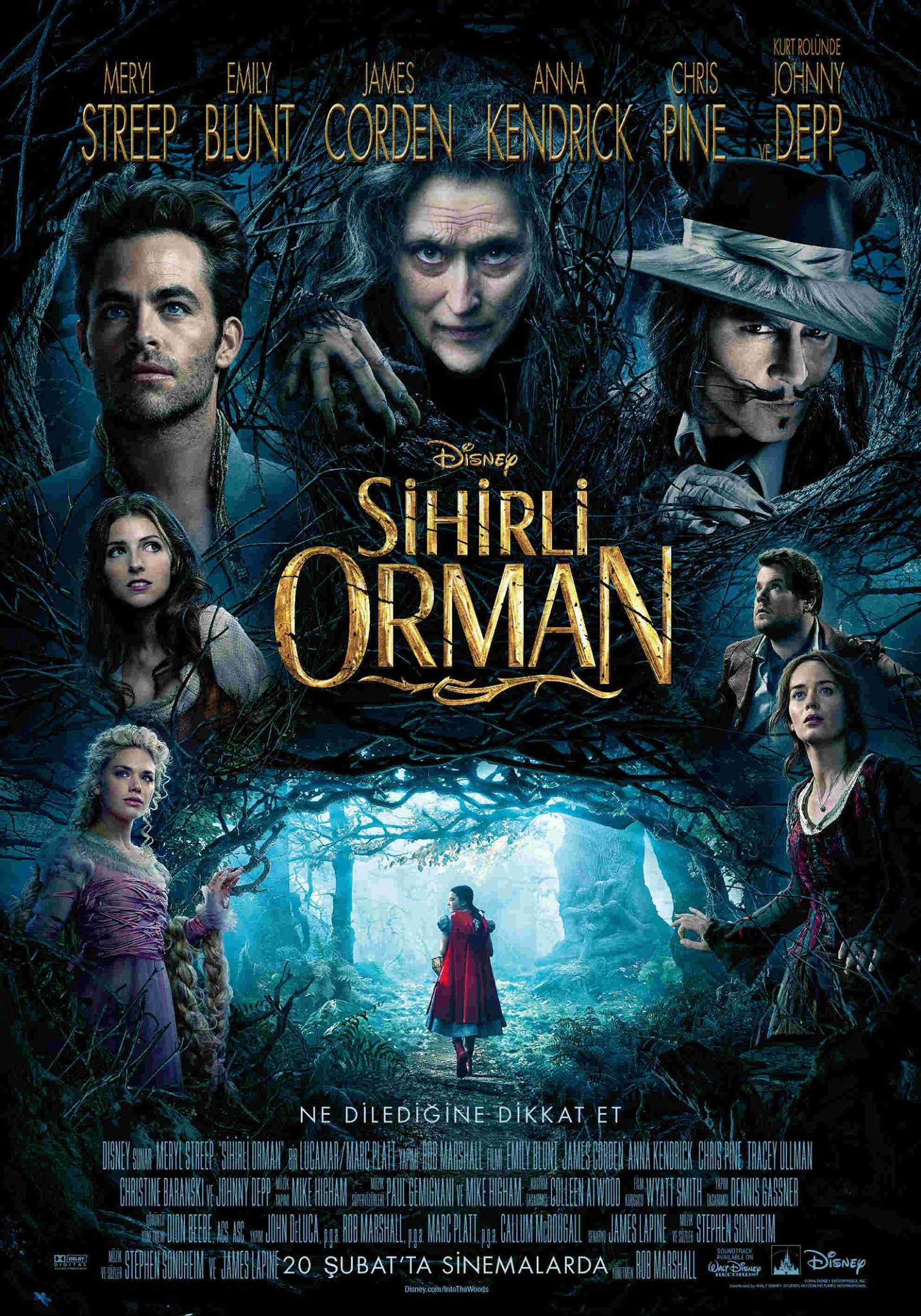 Into the Woods-Sihirli Orman