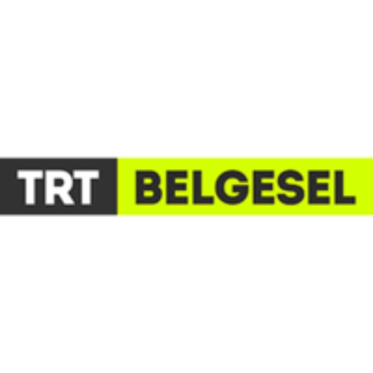 Siyah bir dikdörtgen içinde beyaz TRT yazısı ve yanında fosforlu sarı zemin üzerinde siyah, kalın harflerle BELGESEL ibaresinden oluşan yatay logo.