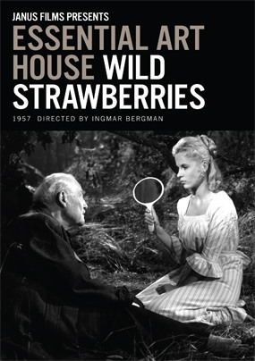Wild Strawberries -Yaban Çilekleri